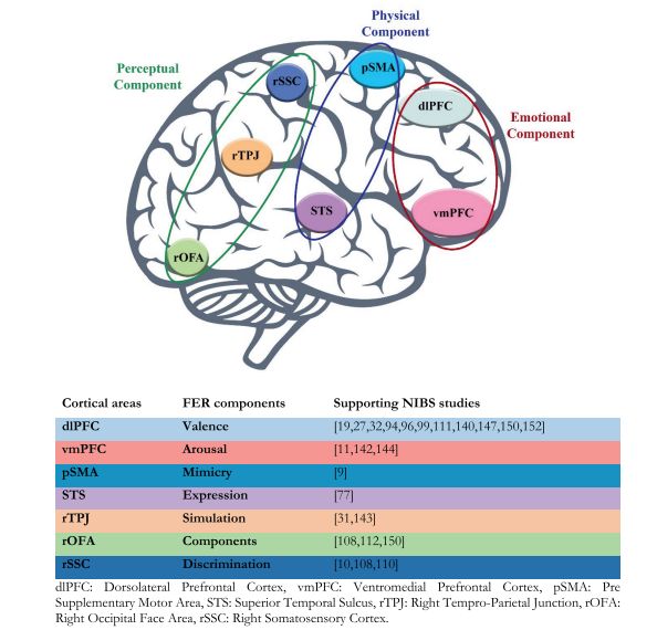 Emotional Faces Fire the Stimulated Brains!